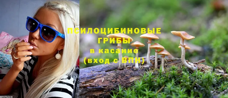 blacksprut   где купить наркоту  Видное  Галлюциногенные грибы Magic Shrooms 